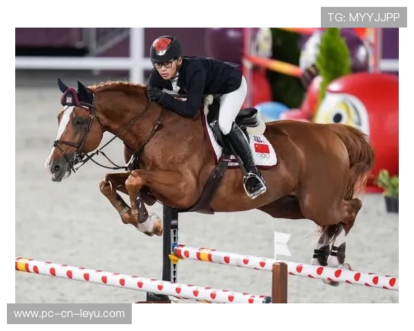 伊朗马术协会推出马术运动员健康管理系统，关注运动员身心健康。
