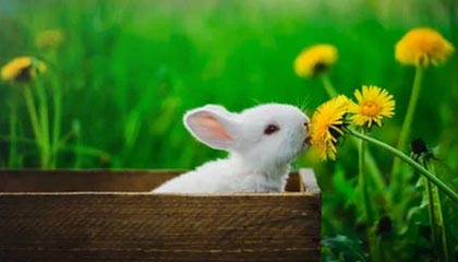 球队内务协调能力是否被高压比赛磨合得以夯实