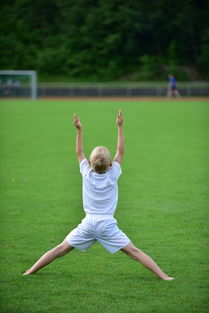 高校体育专业课程体系动态调整研究，全国普通高校体育教育专业课程方案
